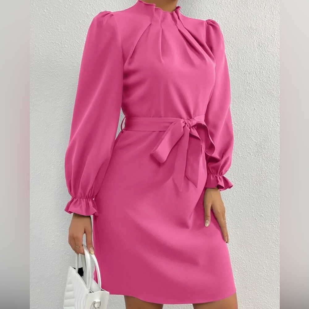 NWOTW FLOUNCE Sleeve Mock Neck Belted Dress Size 4 small - Picture 3 of 5